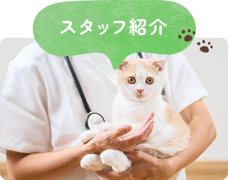 スタッフ紹介