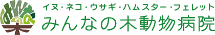 みんなの木動物病院