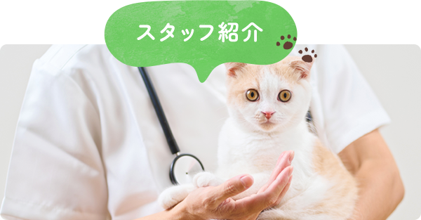 スタッフ紹介