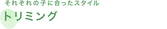 それぞれの子に合ったスタイル トリミング