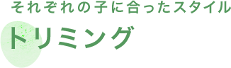 それぞれの子に合ったスタイル トリミング